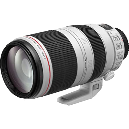 Canon EF 100-400mmf/4.5-5.6L IS USM