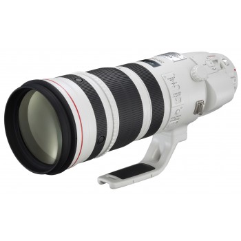 Canon Ef 200-400 mm F/4 IS USM Extender 1,4X