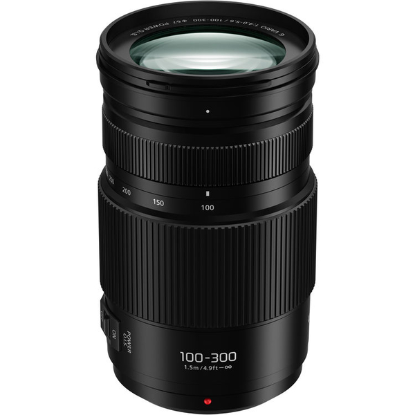 Panasonic Leica DG 100-400 mm f/4-6,3 ASPH (Monture MFT)